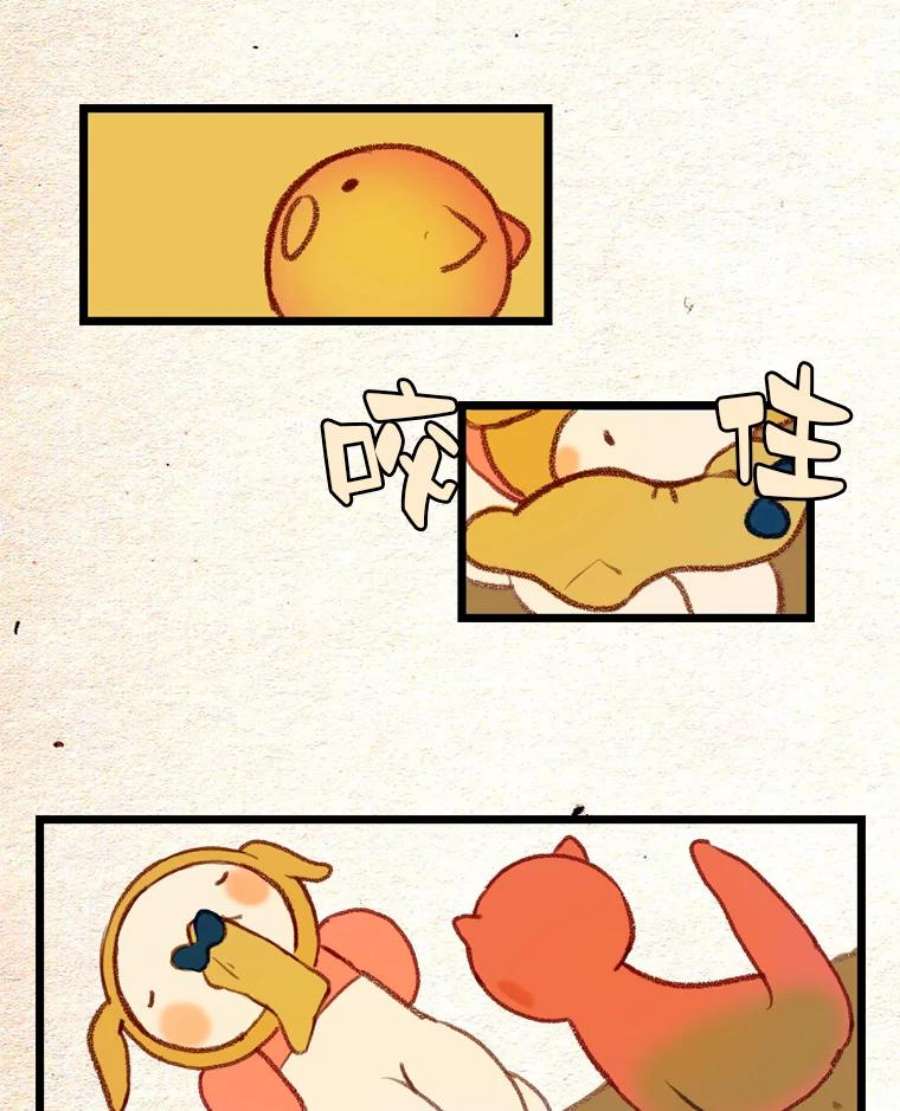 41.jpg