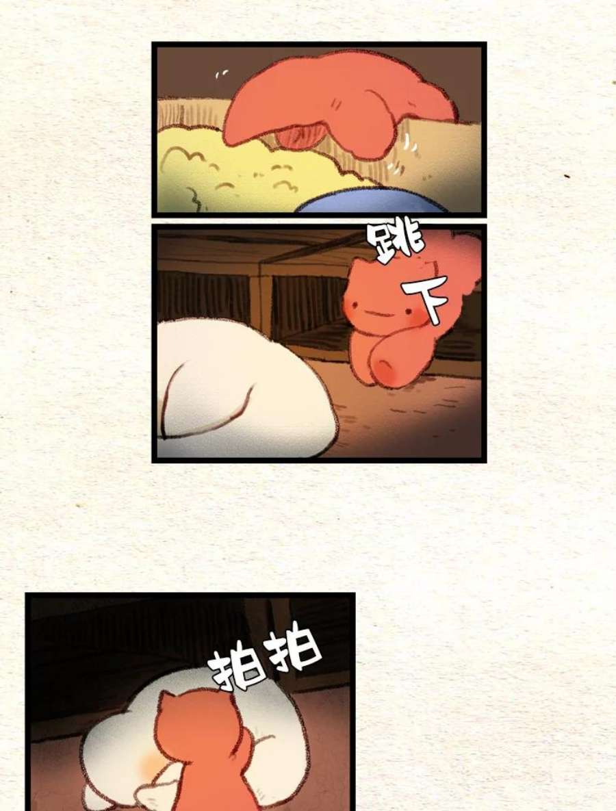 41.jpg