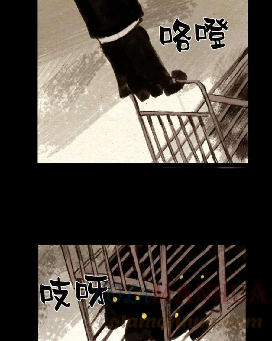 46.jpg