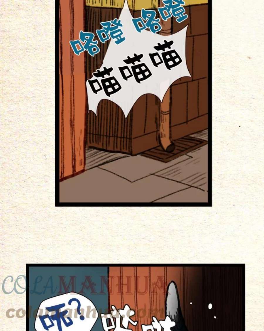 43.jpg