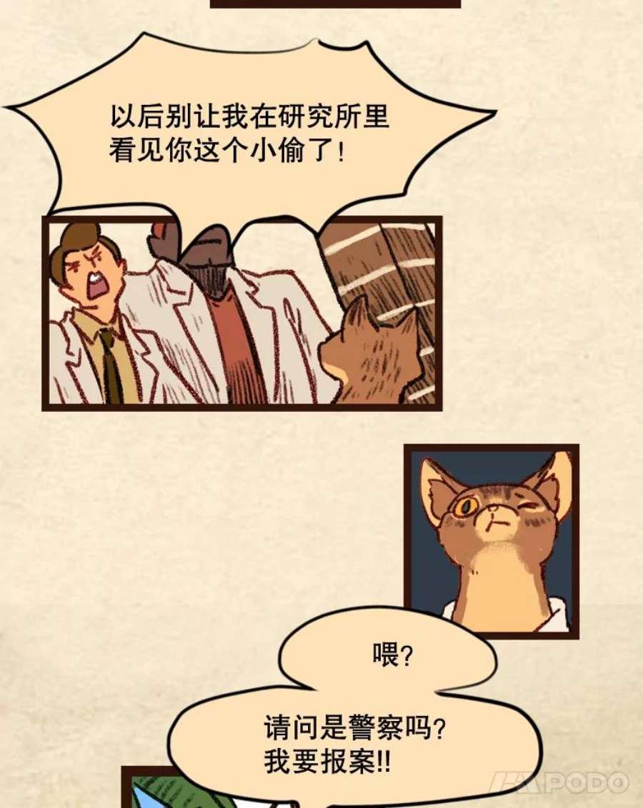 18.jpg