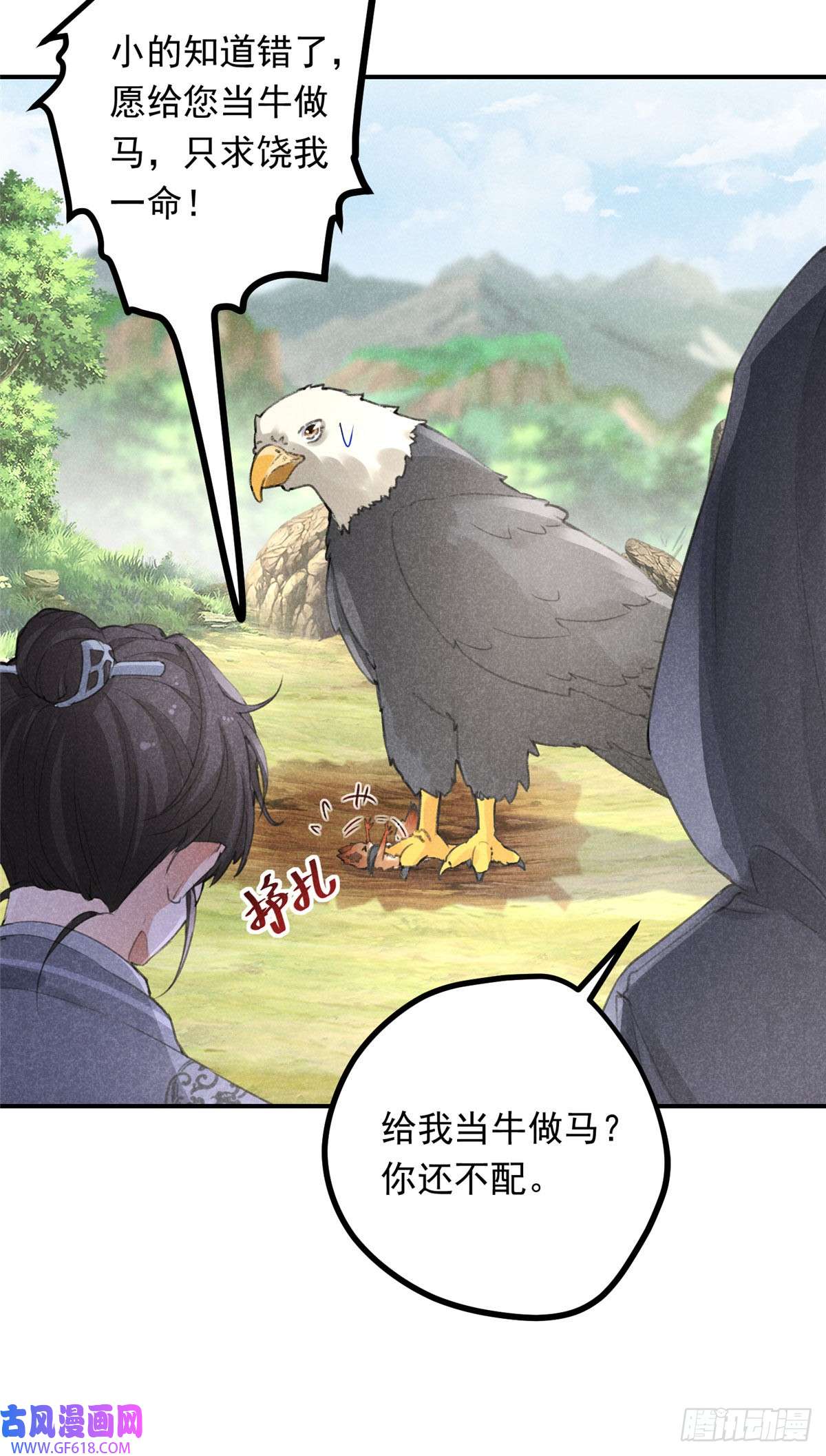 13.jpg