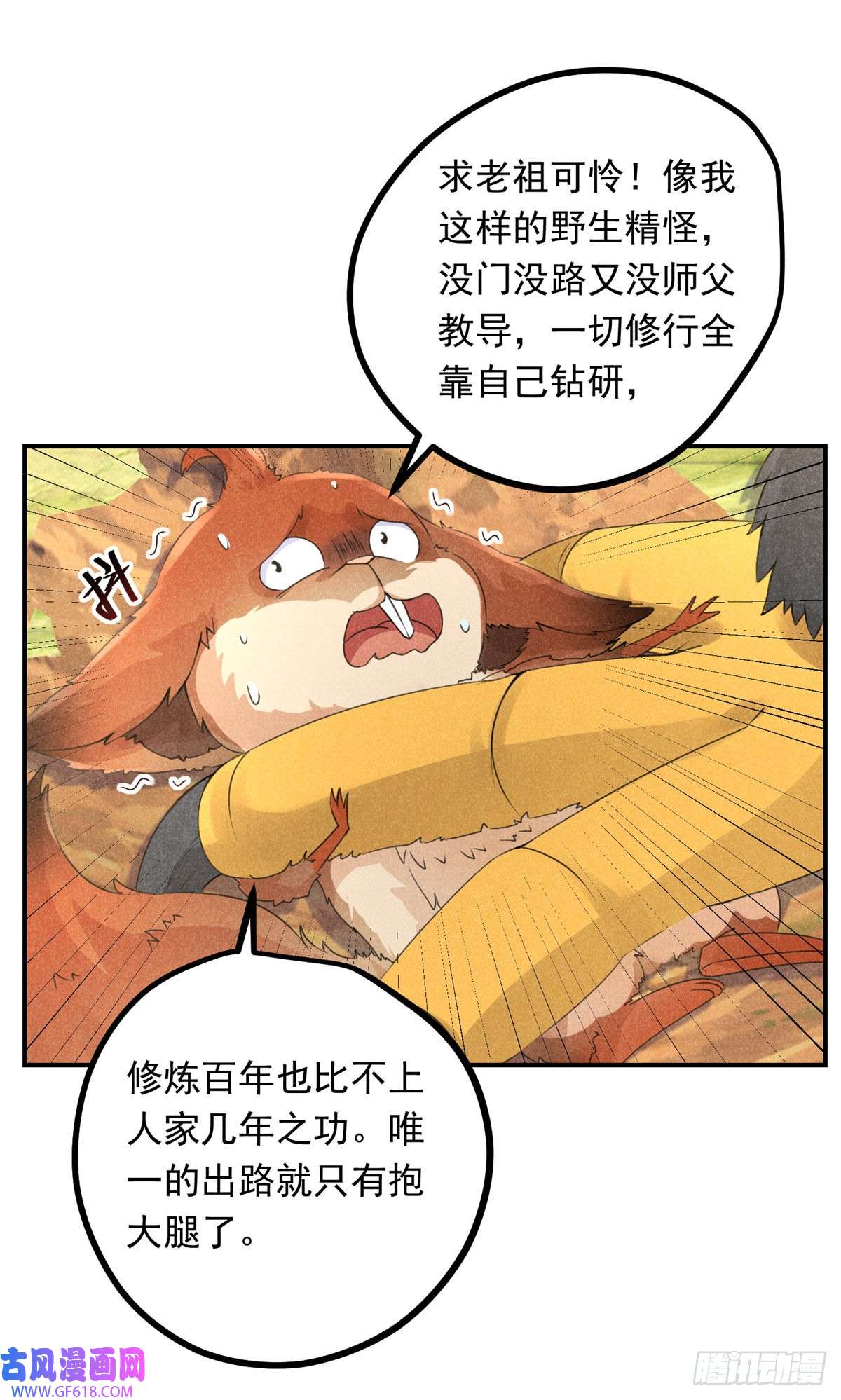 19.jpg