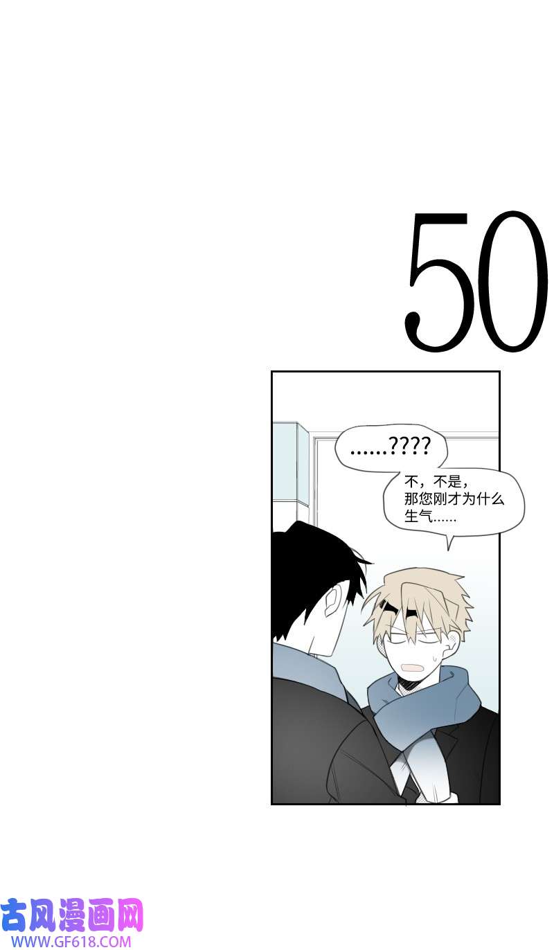 48.jpg