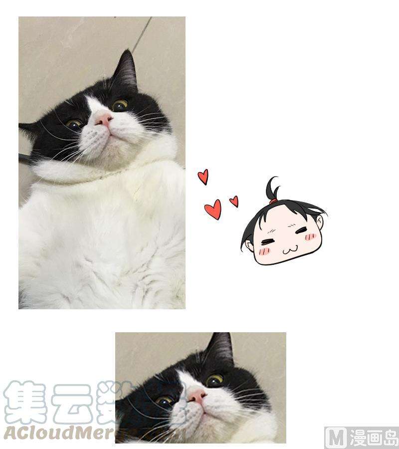 36.jpg