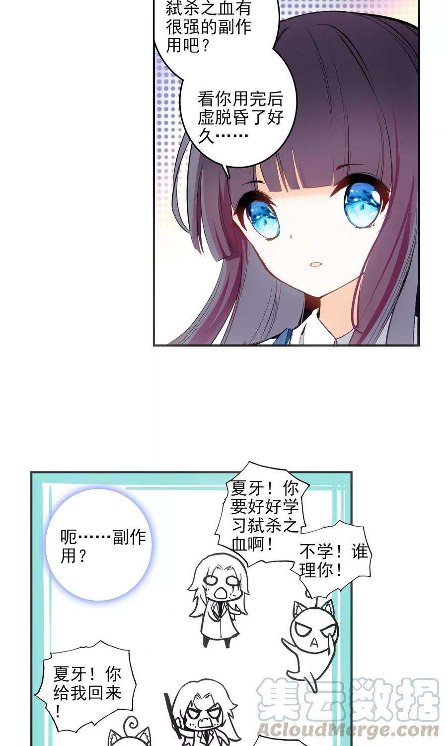 41.jpg