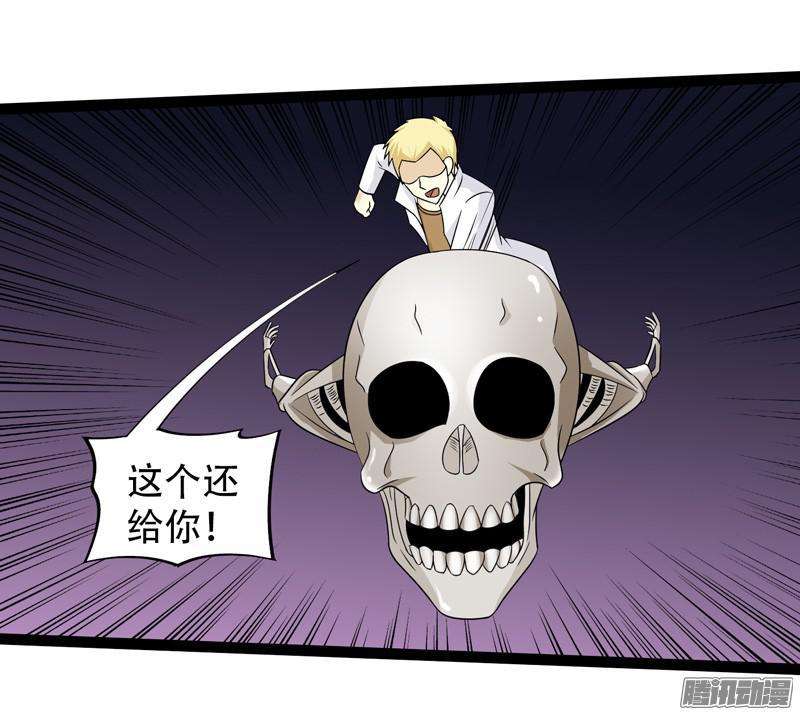 17.jpg
