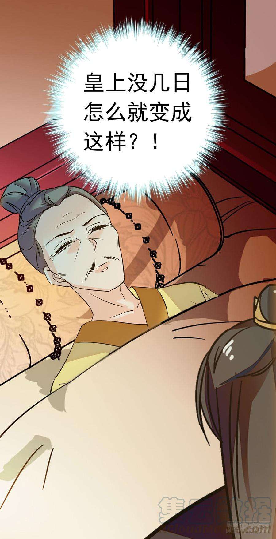 41.jpg