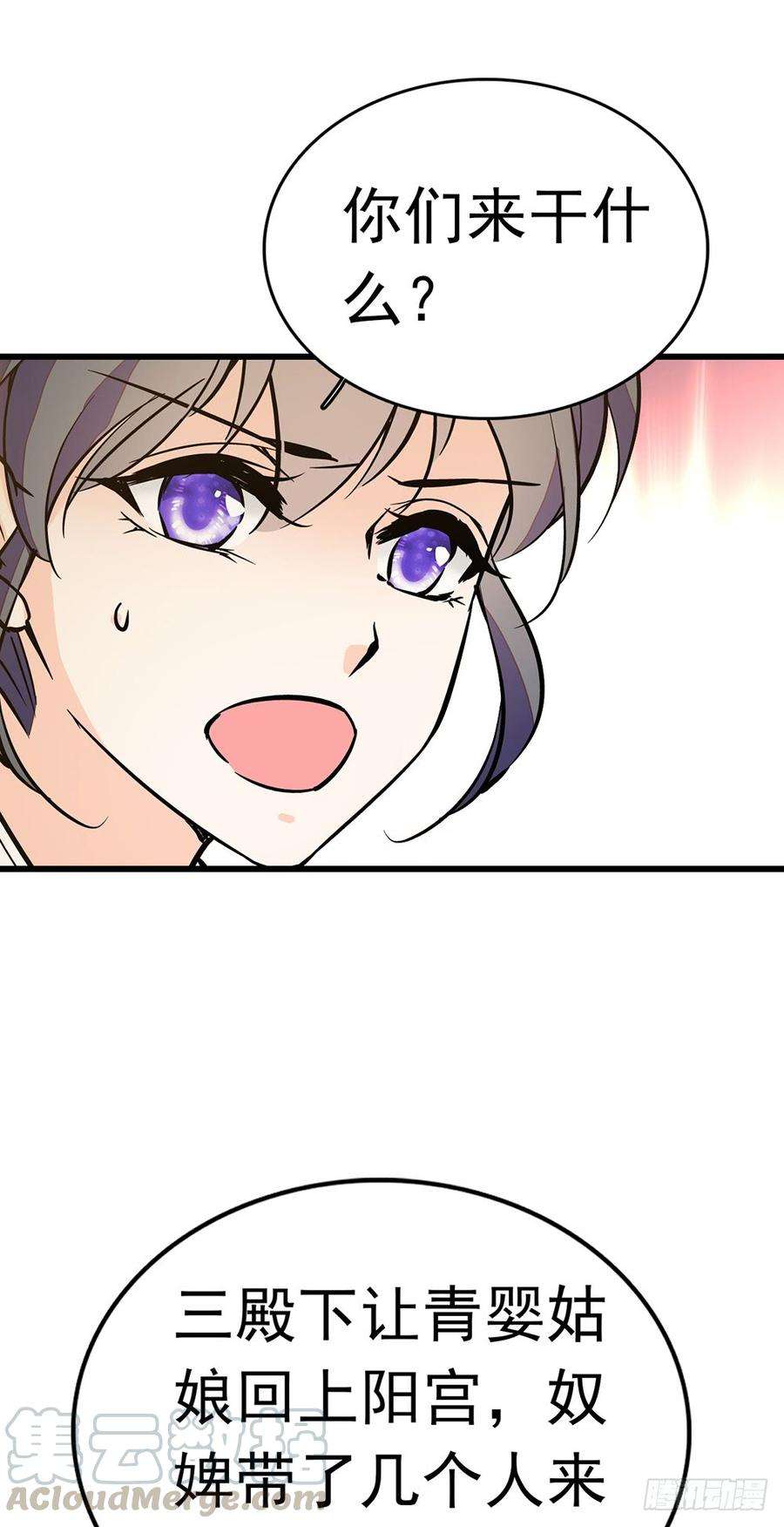 41.jpg