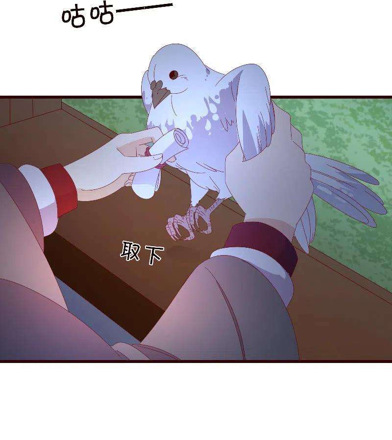 35.jpg