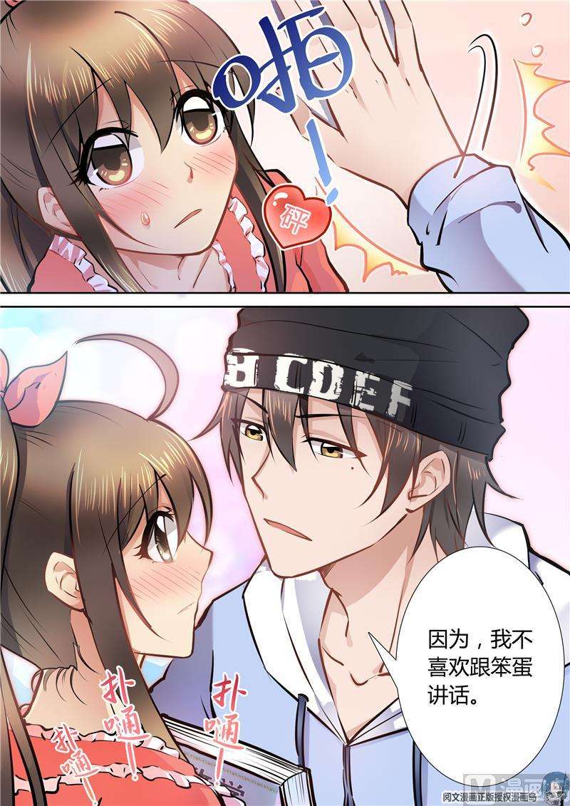 4.jpg