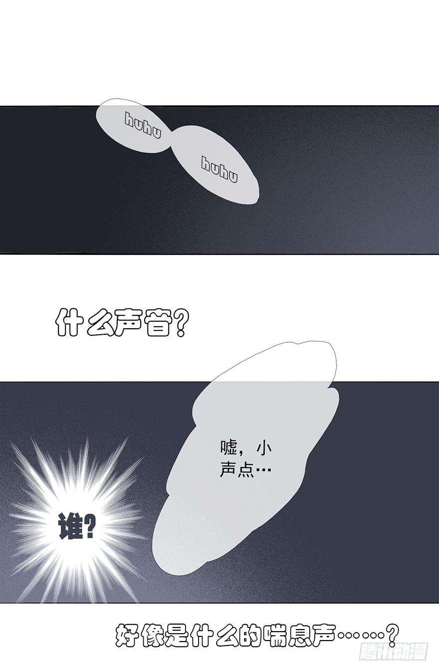 41.jpg