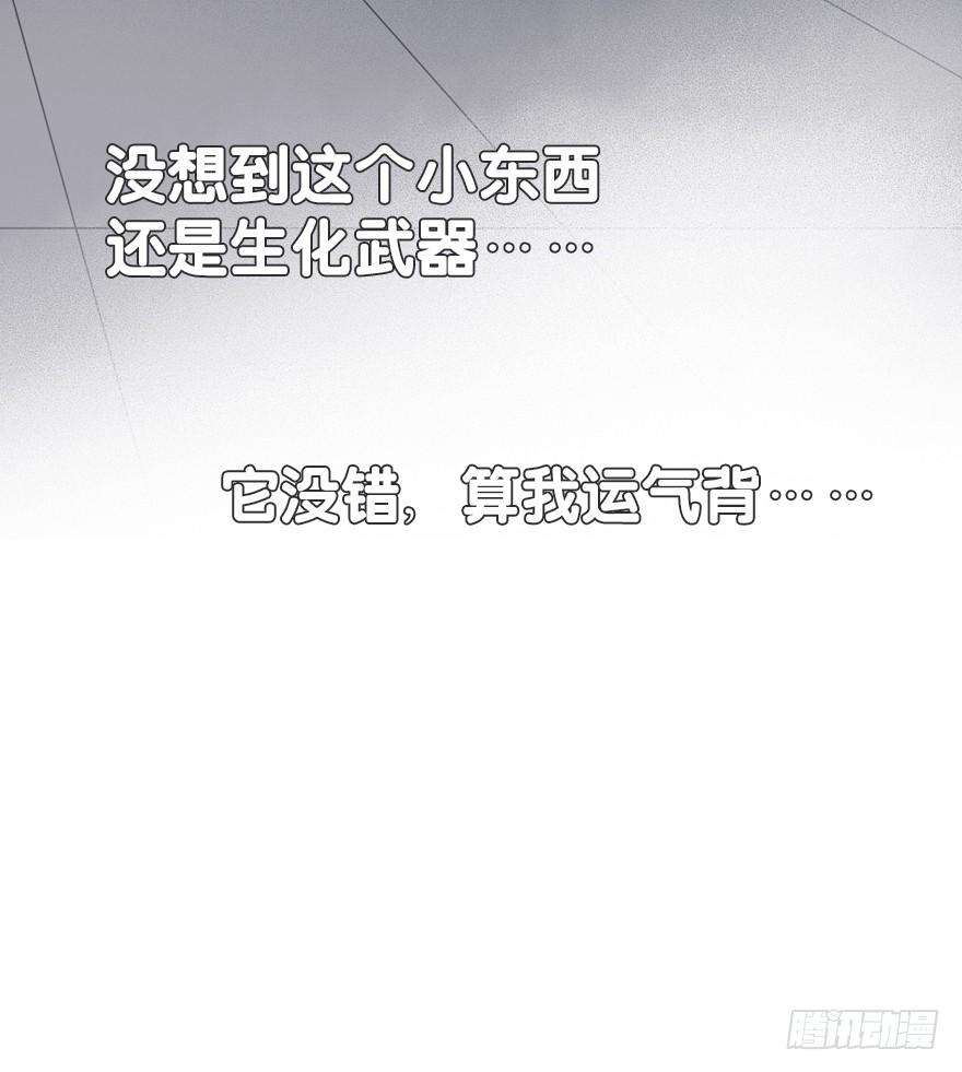30.jpg
