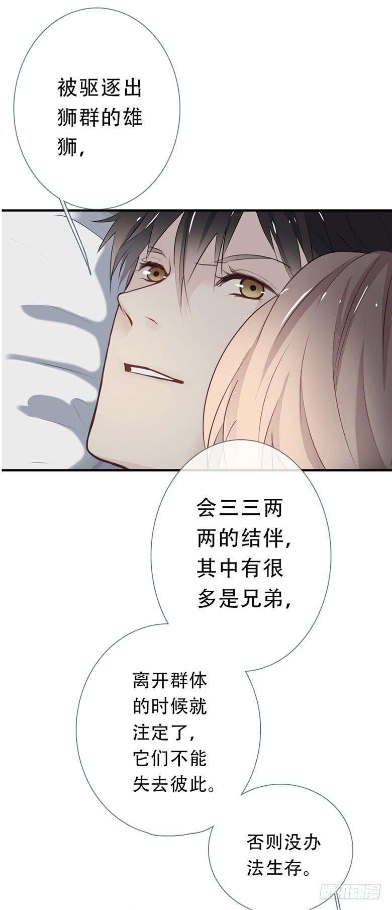 49.jpg