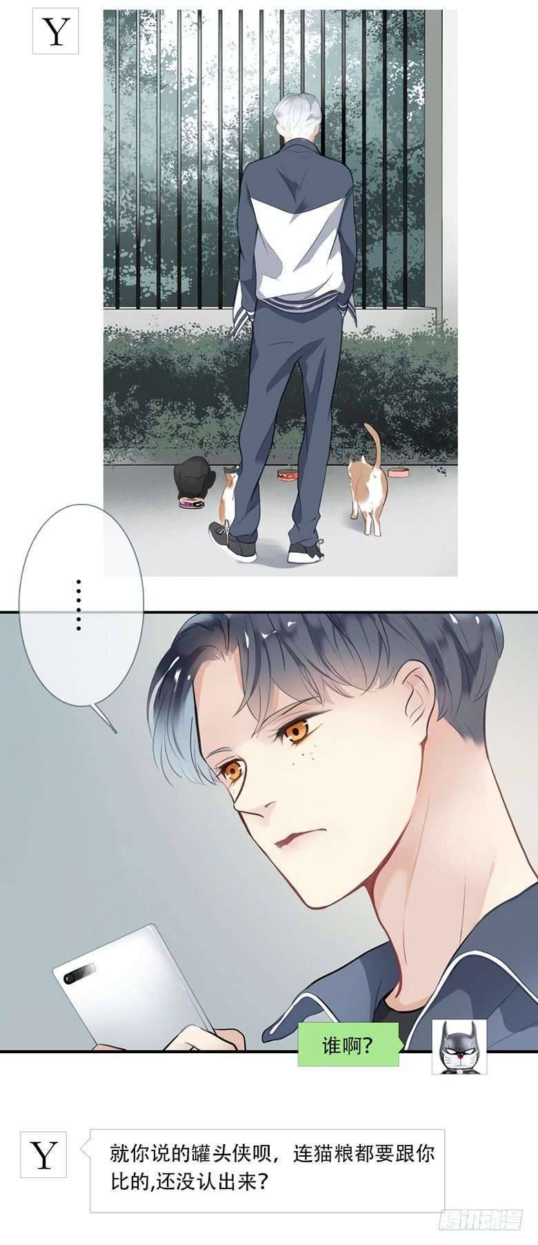 11.jpg