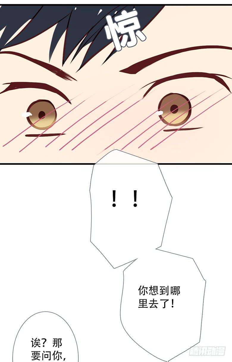 47.jpg