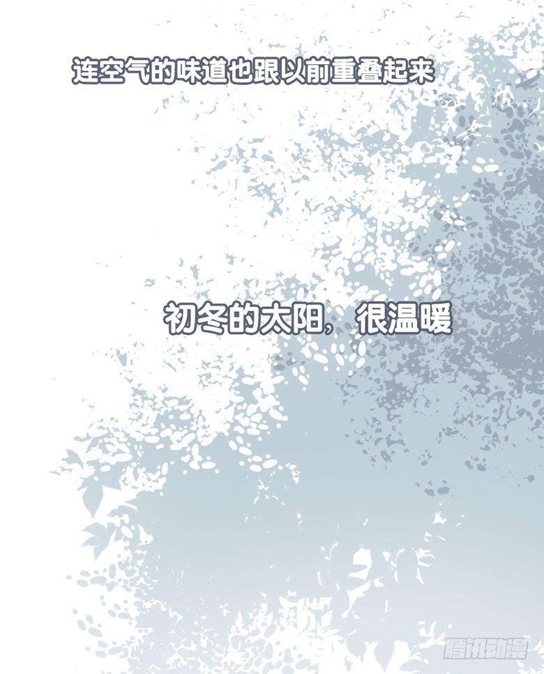 95.jpg