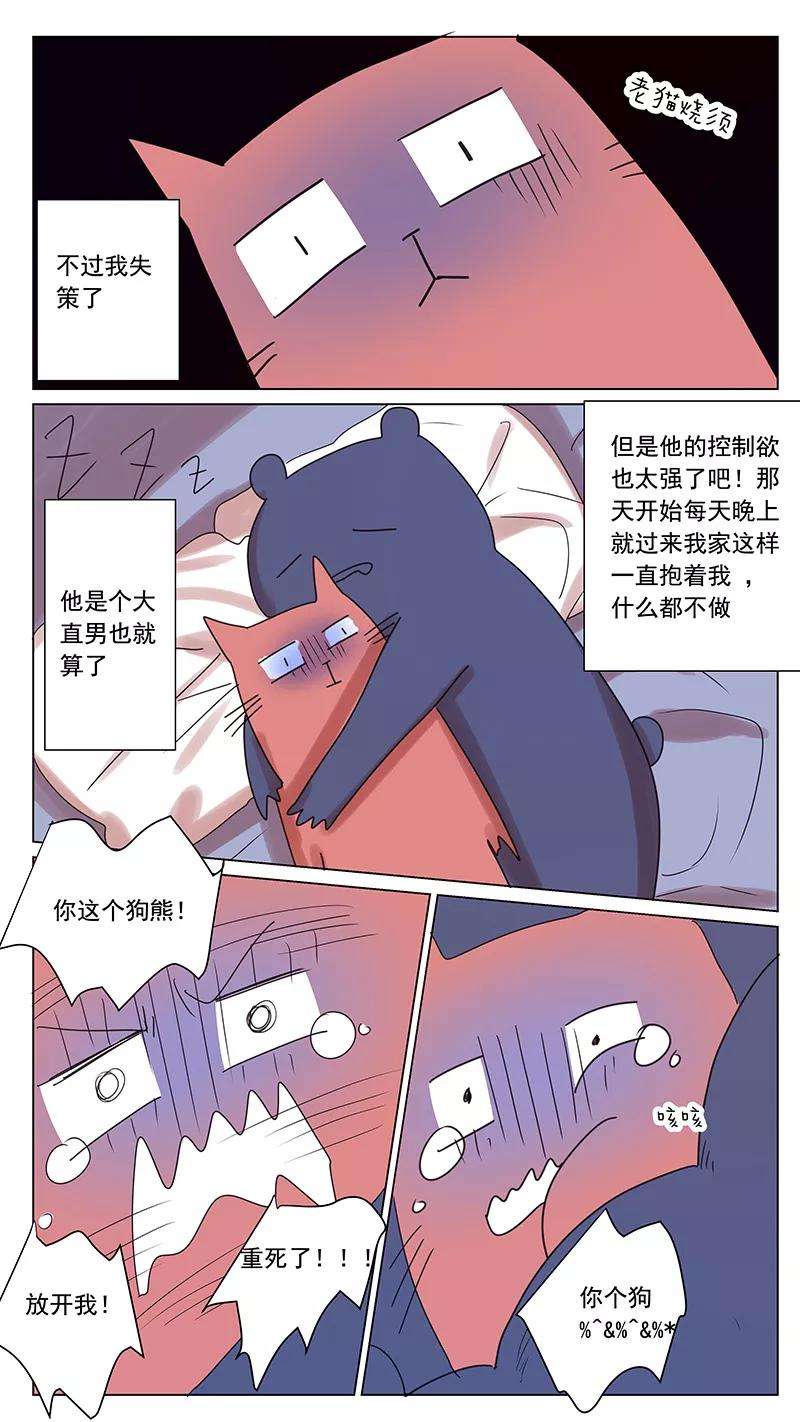 5.jpg