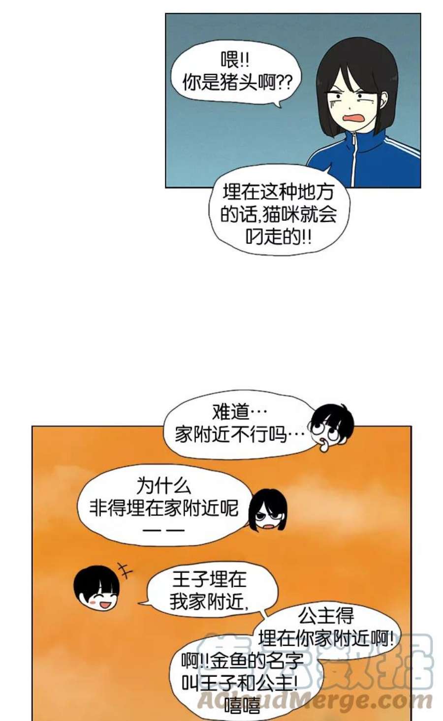 31.jpg
