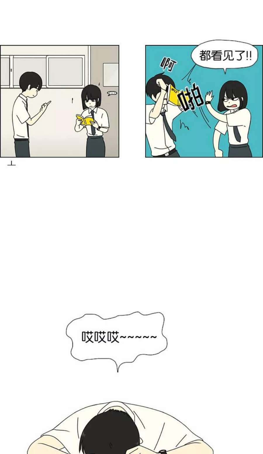 14.jpg