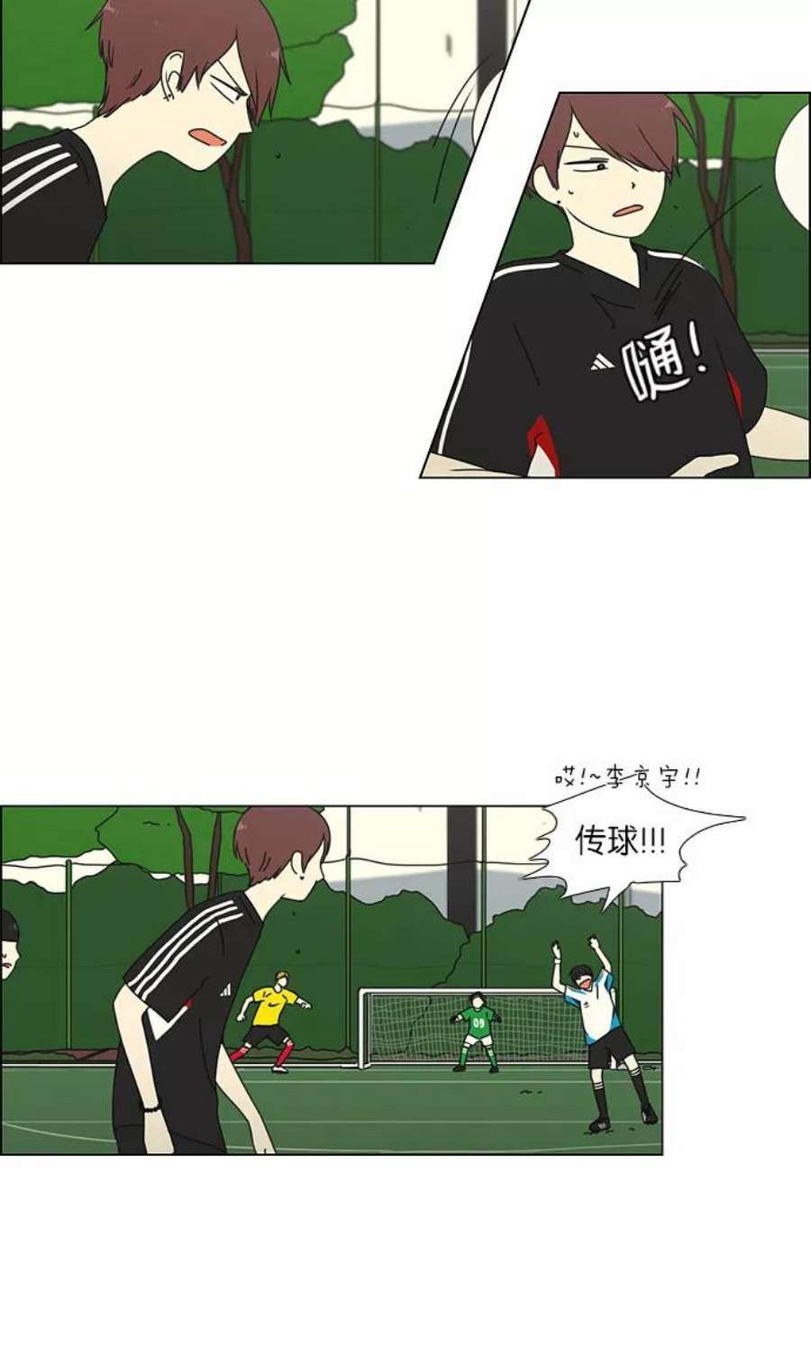 12.jpg