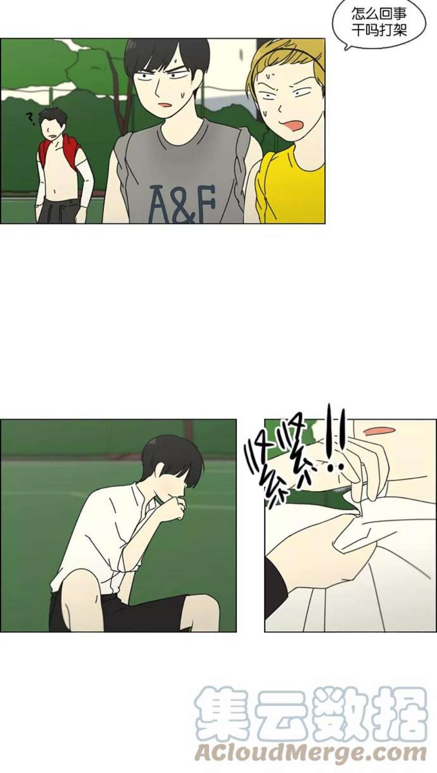49.jpg