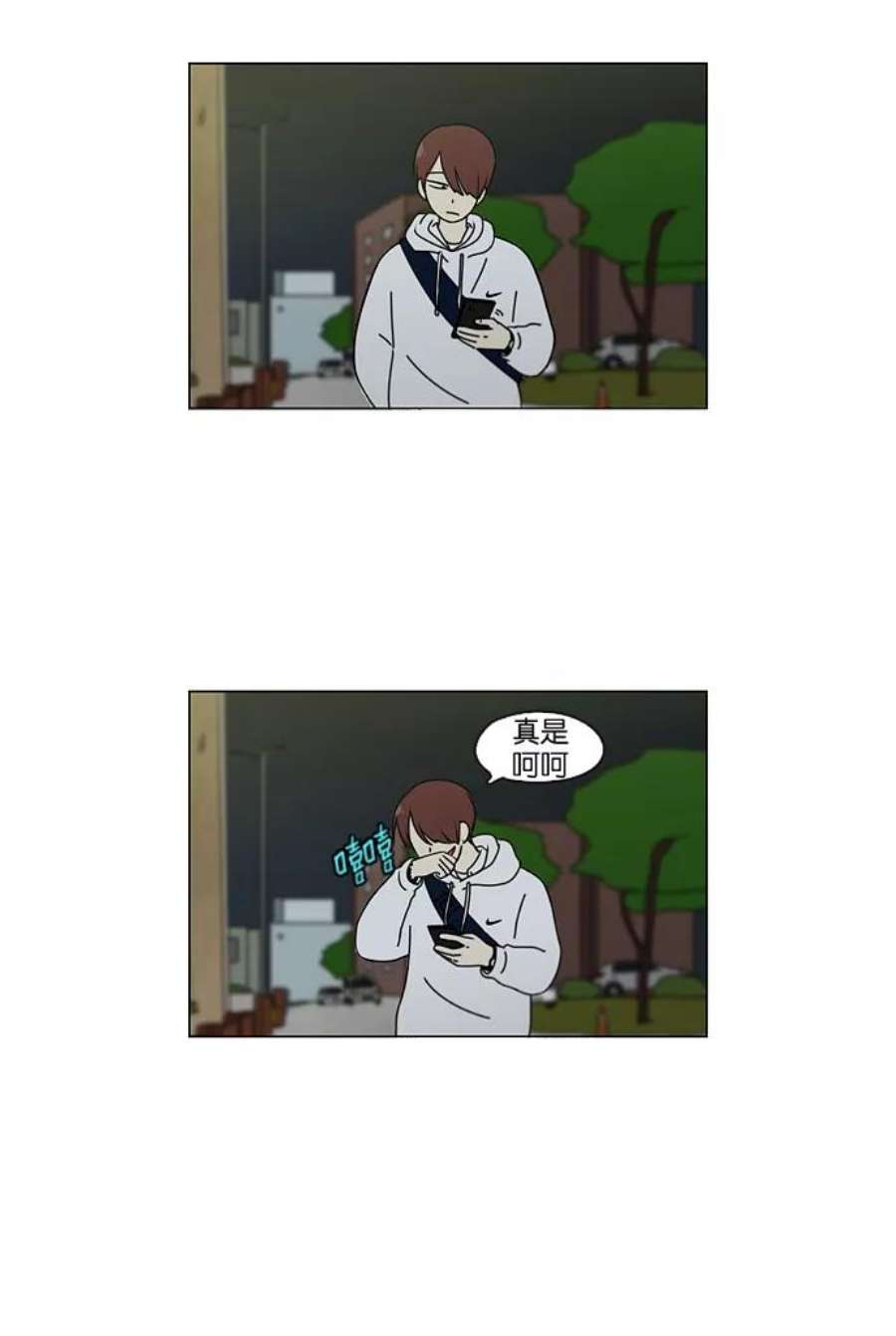 29.jpg