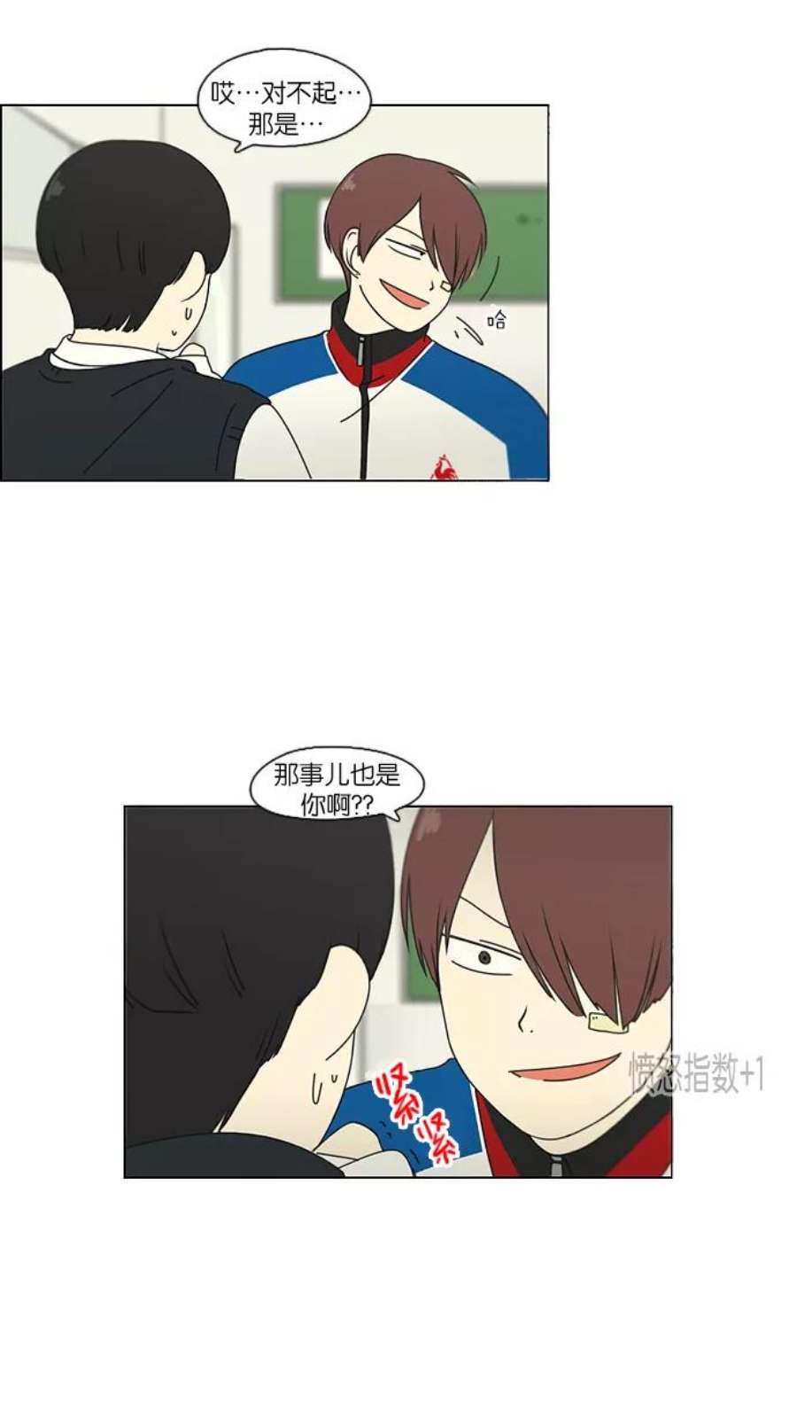 33.jpg