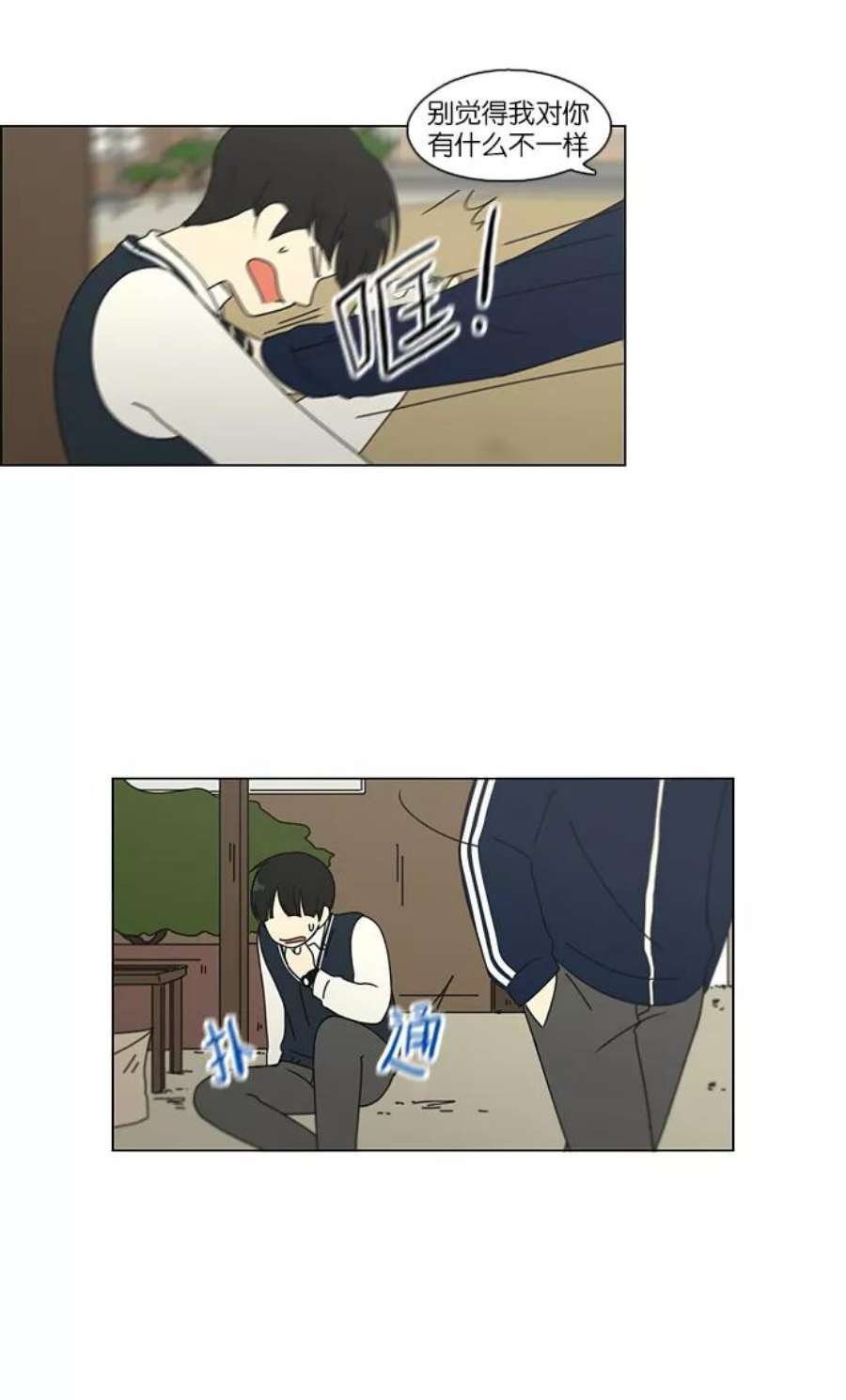 41.jpg