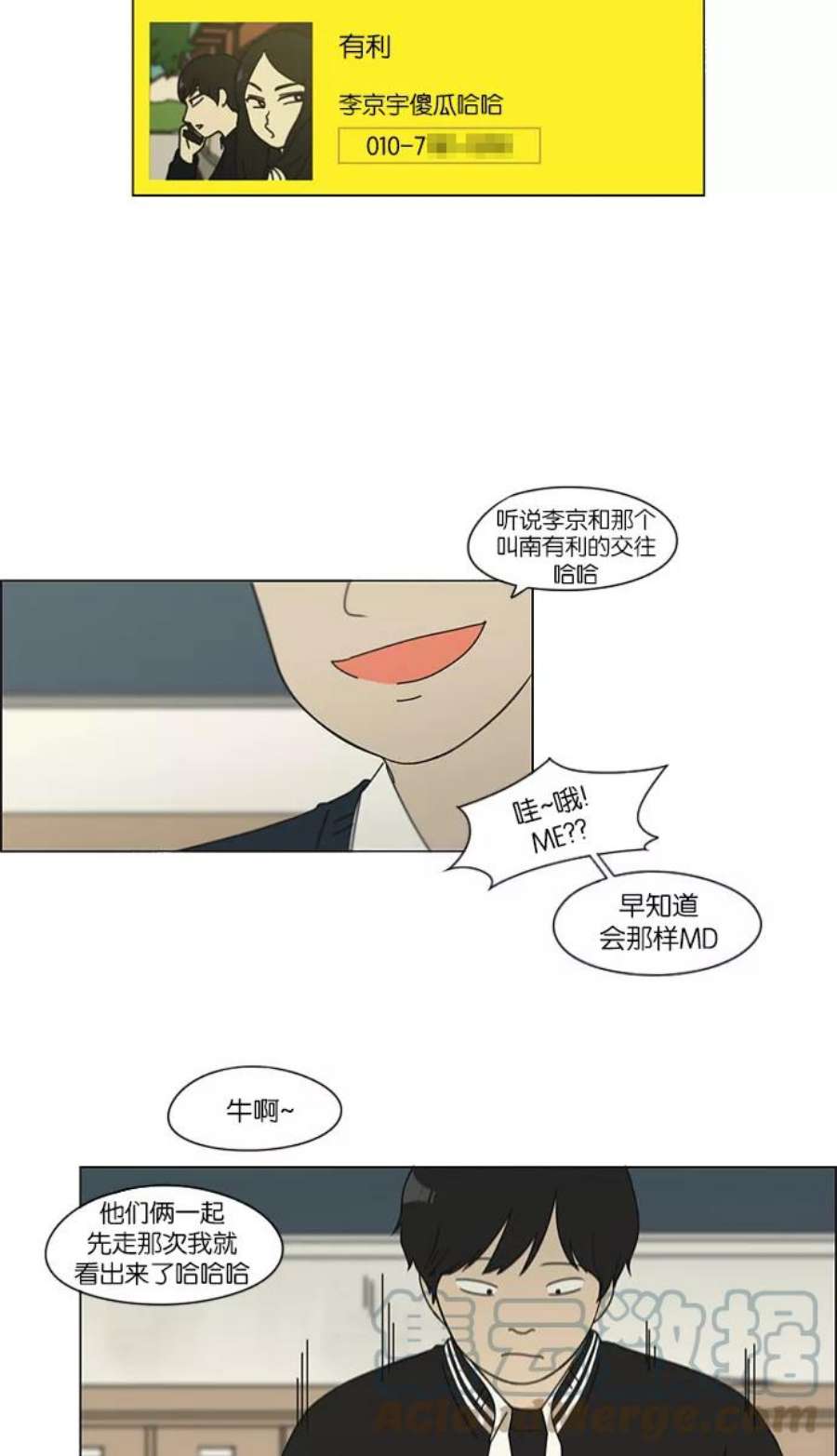 15.jpg
