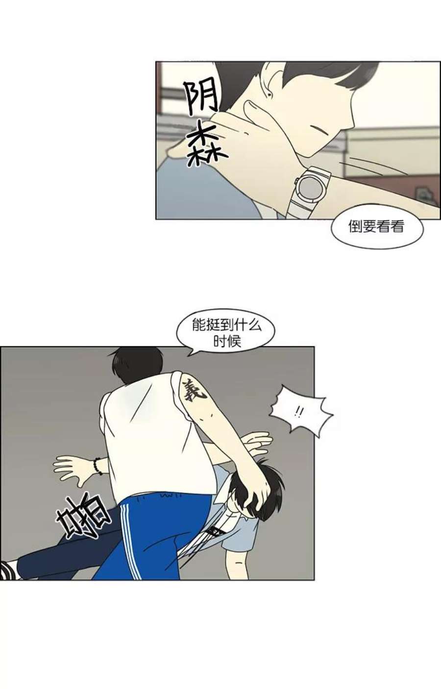 14.jpg