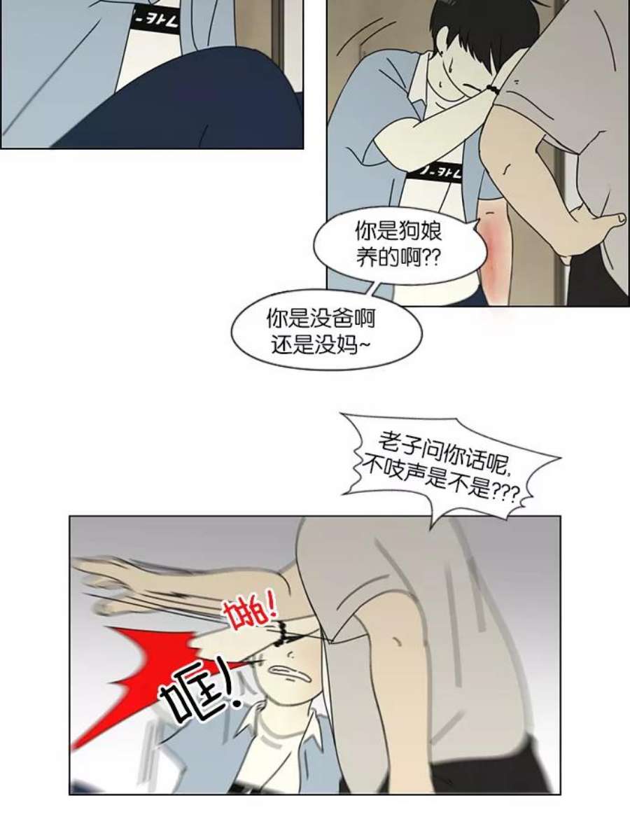 26.jpg