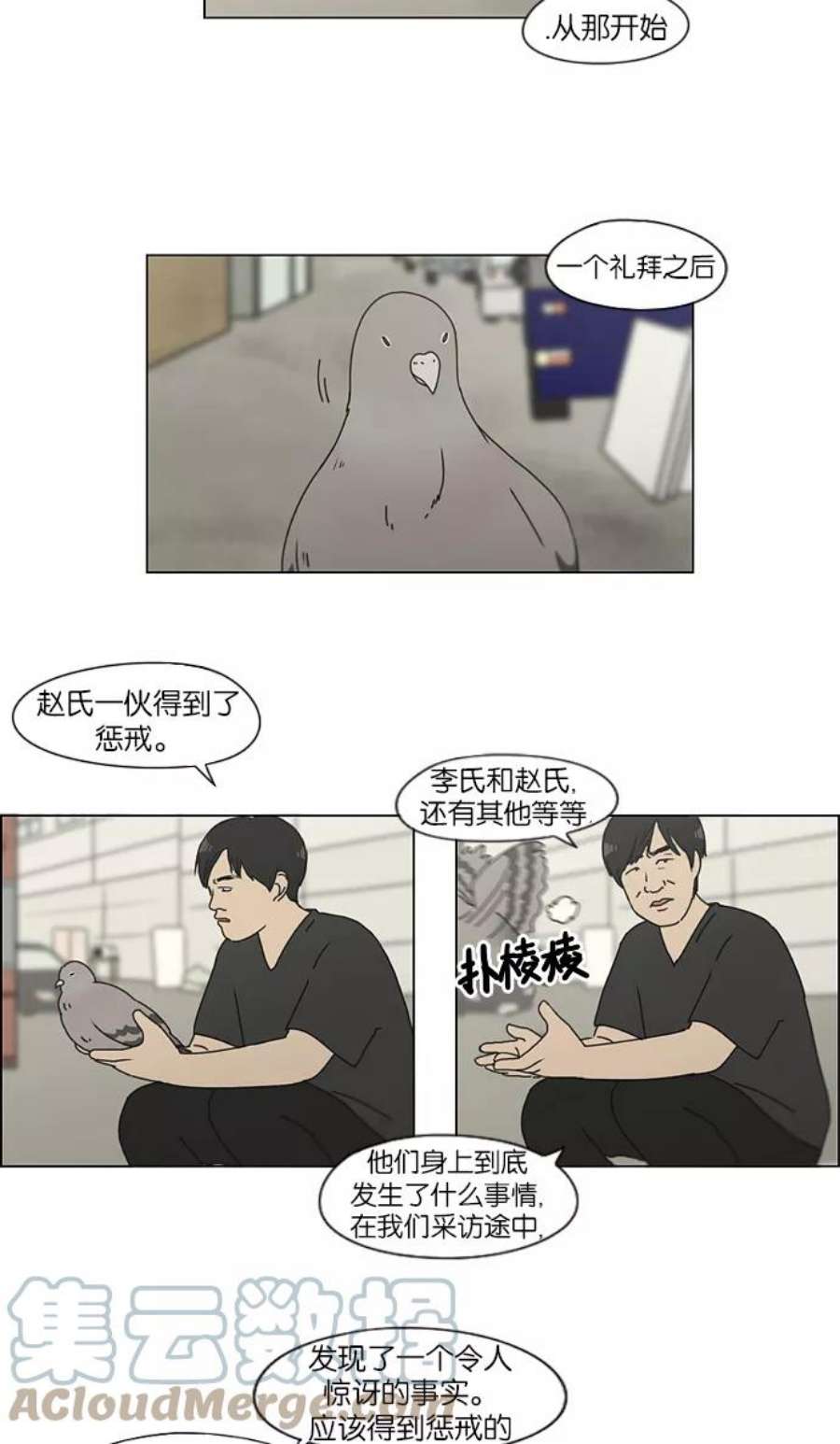 13.jpg