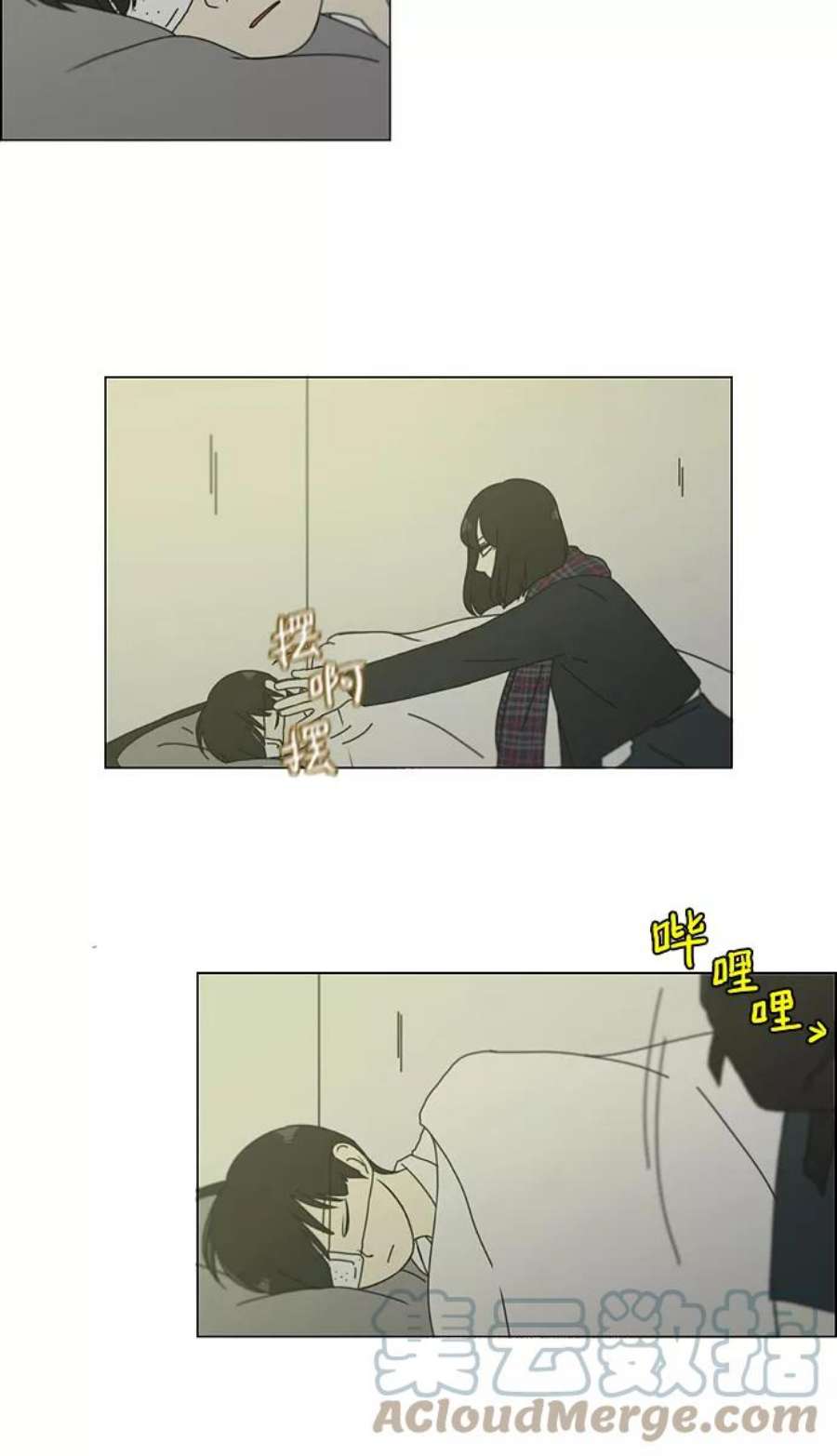 40.jpg