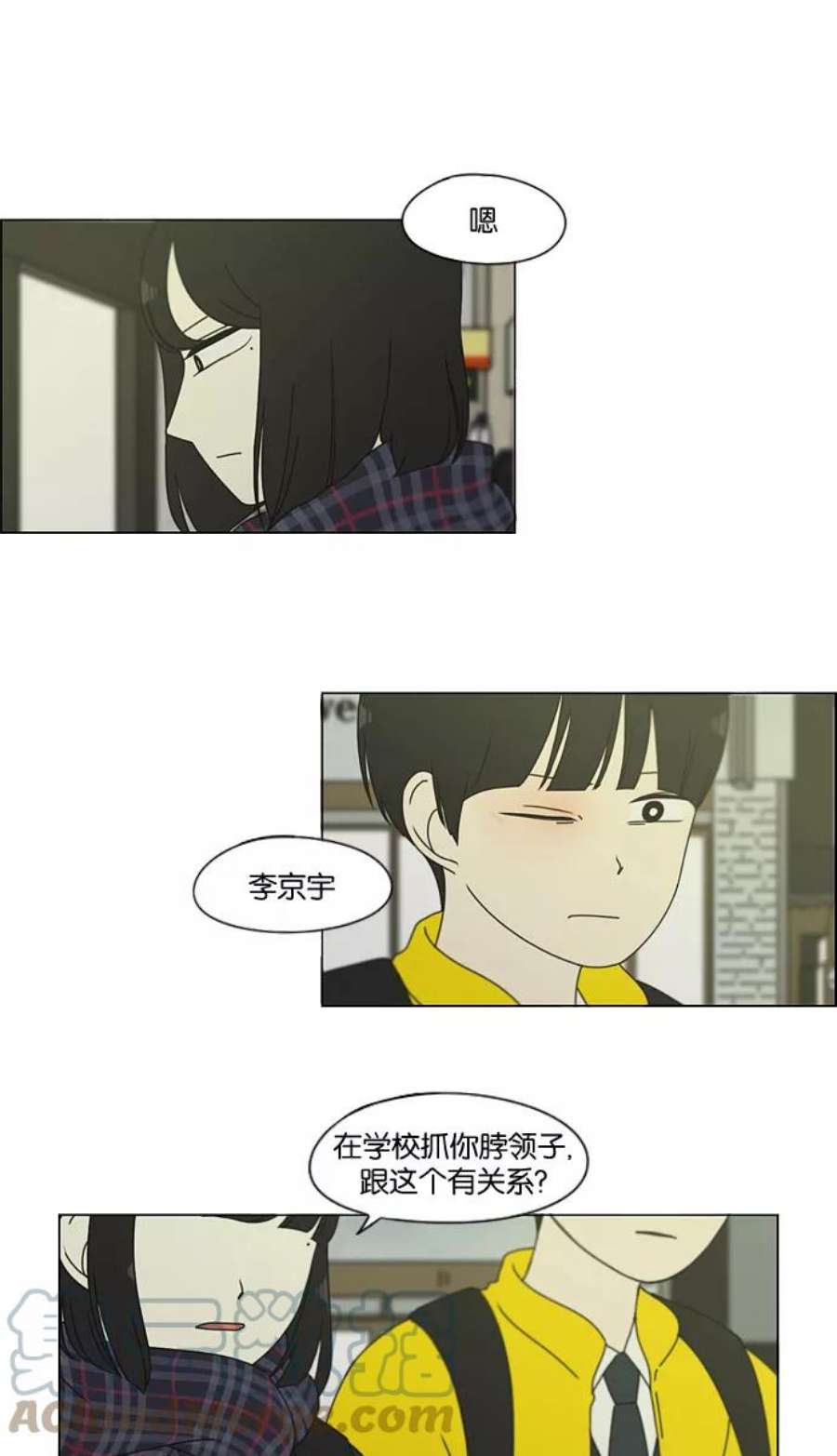 19.jpg