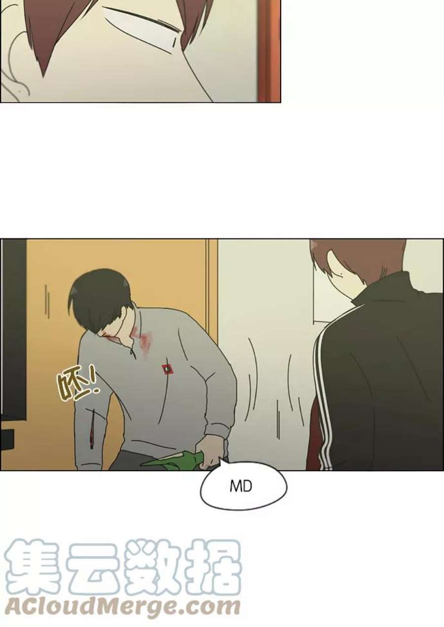 41.jpg