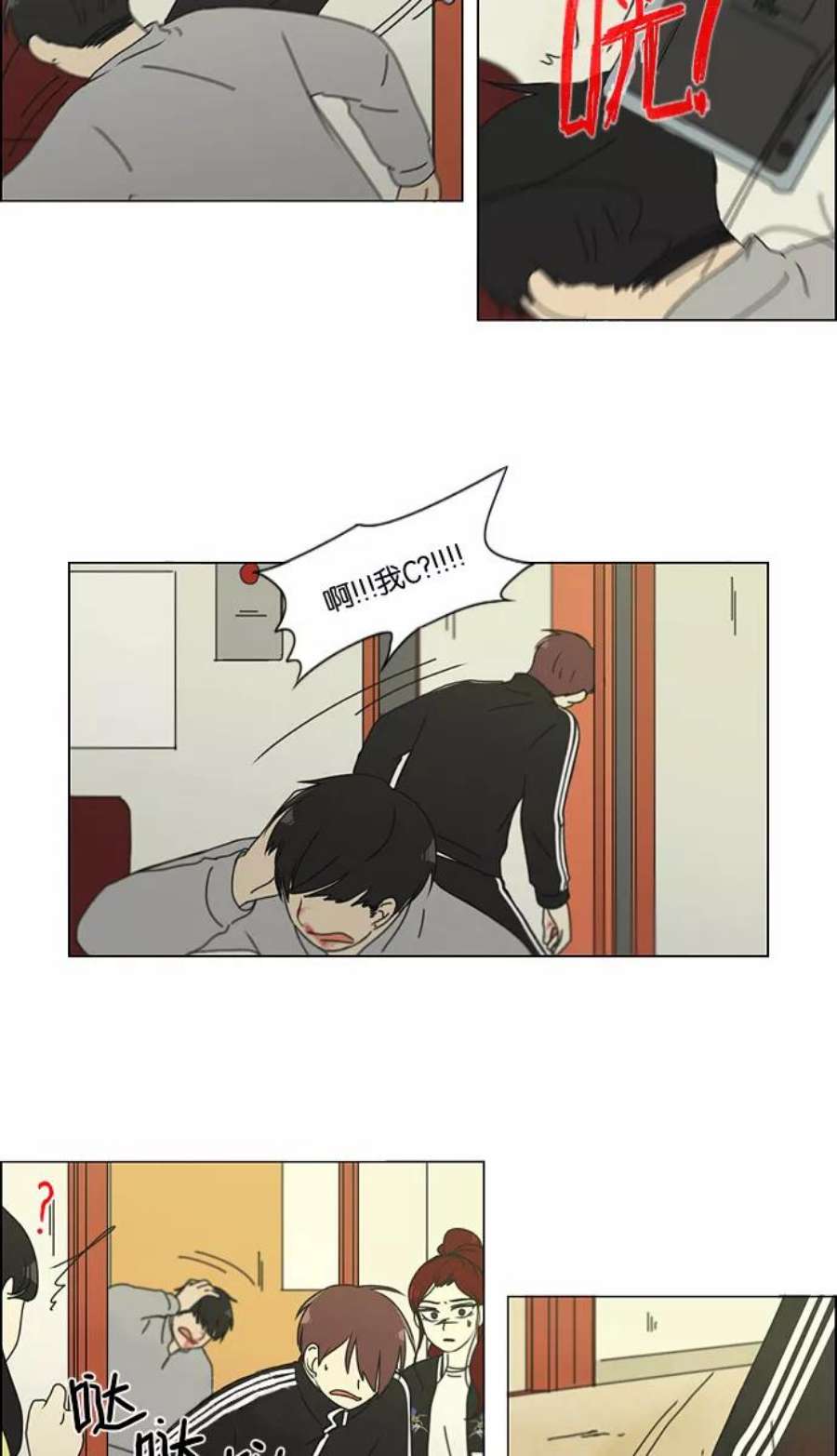 14.jpg