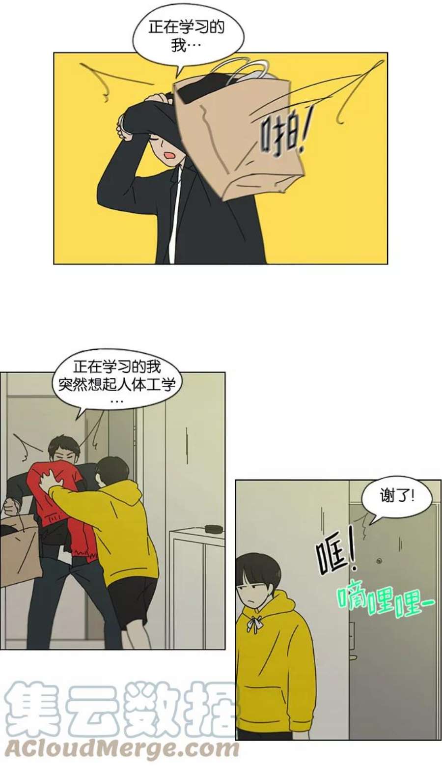 41.jpg