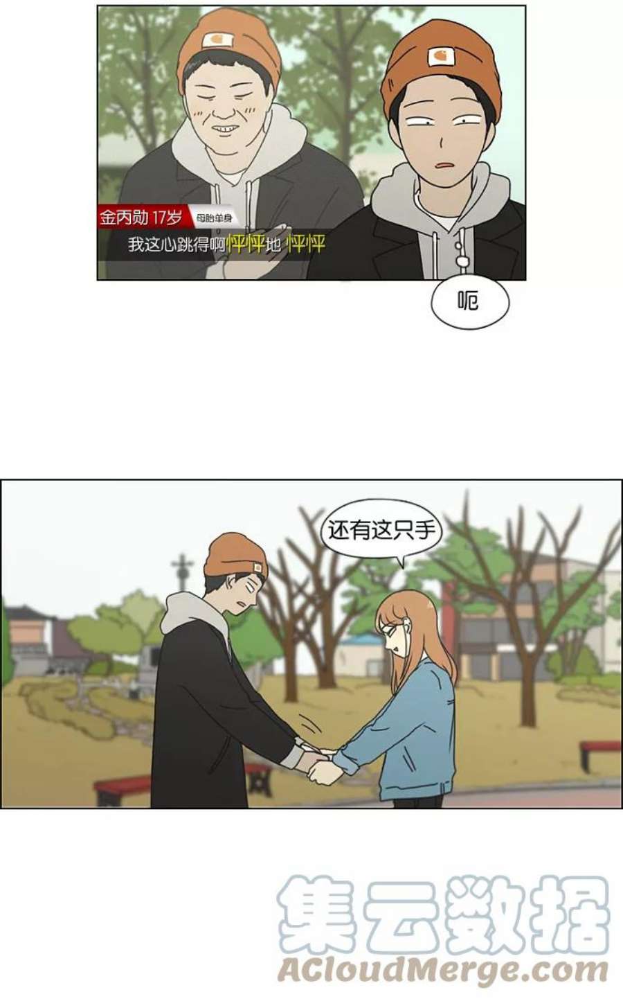 17.jpg