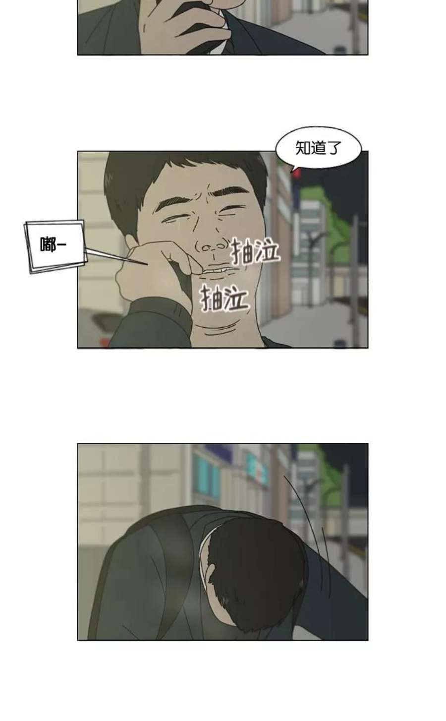 23.jpg