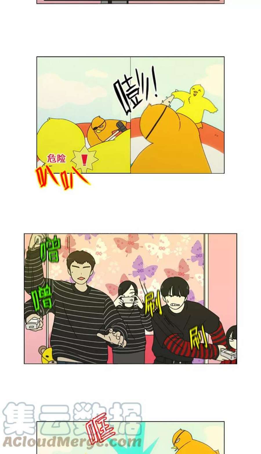 19.jpg