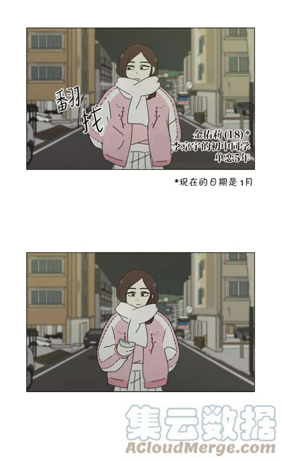 41.jpg