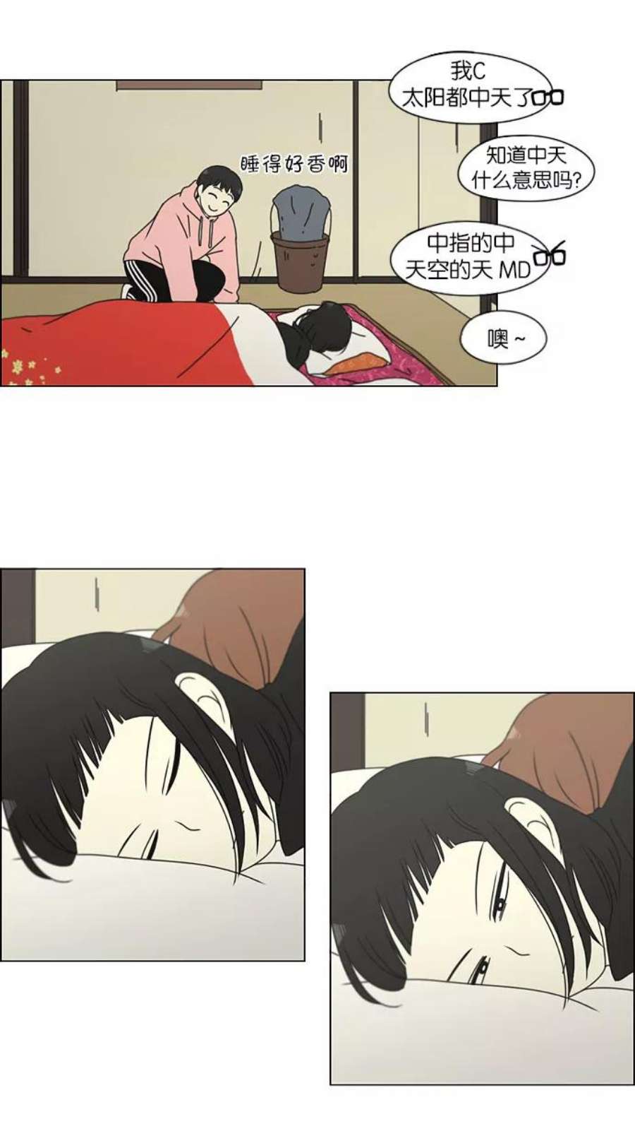 29.jpg