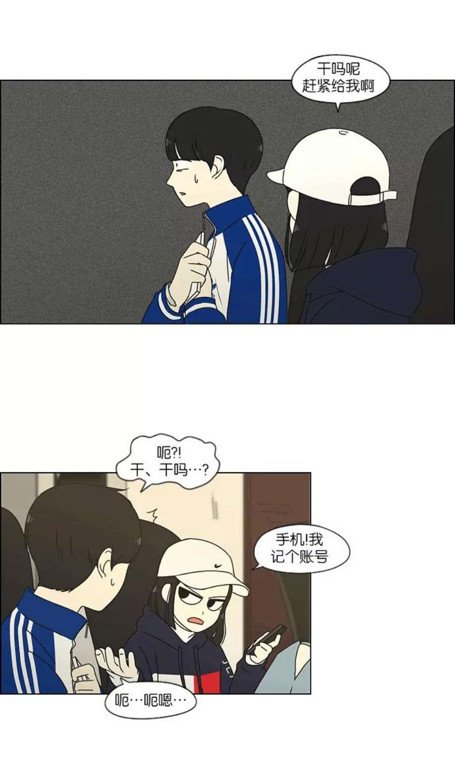 8.jpg