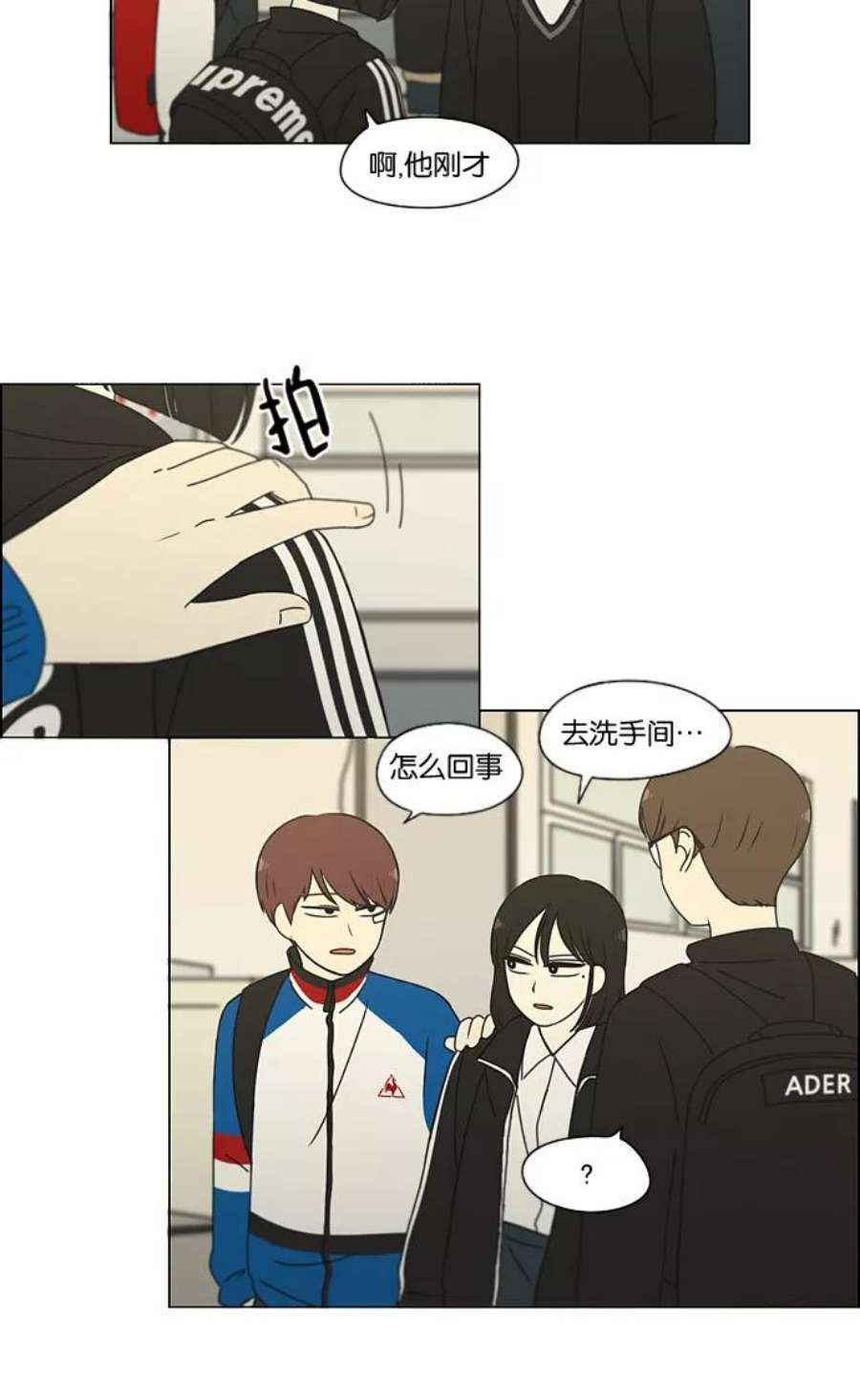 8.jpg