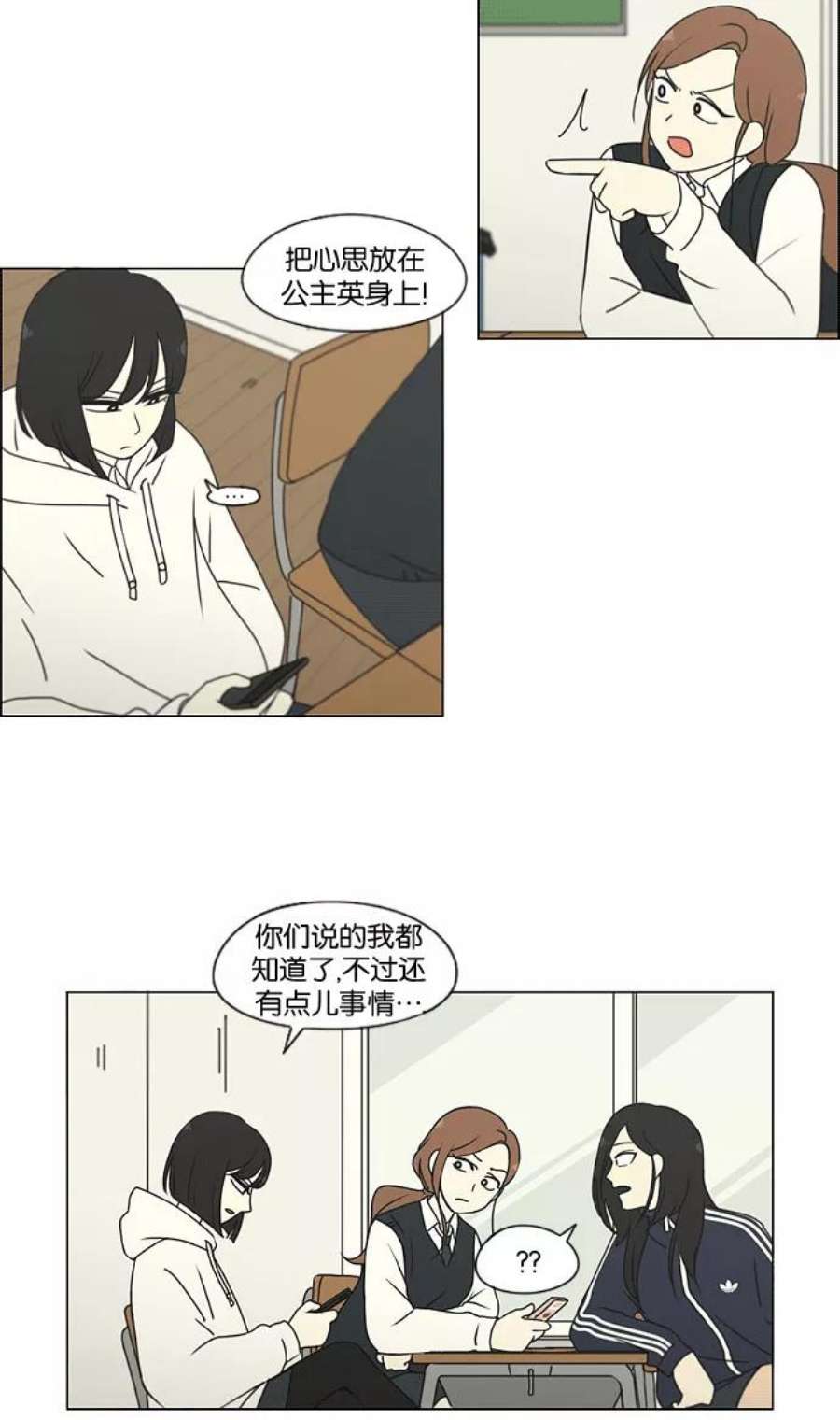 15.jpg