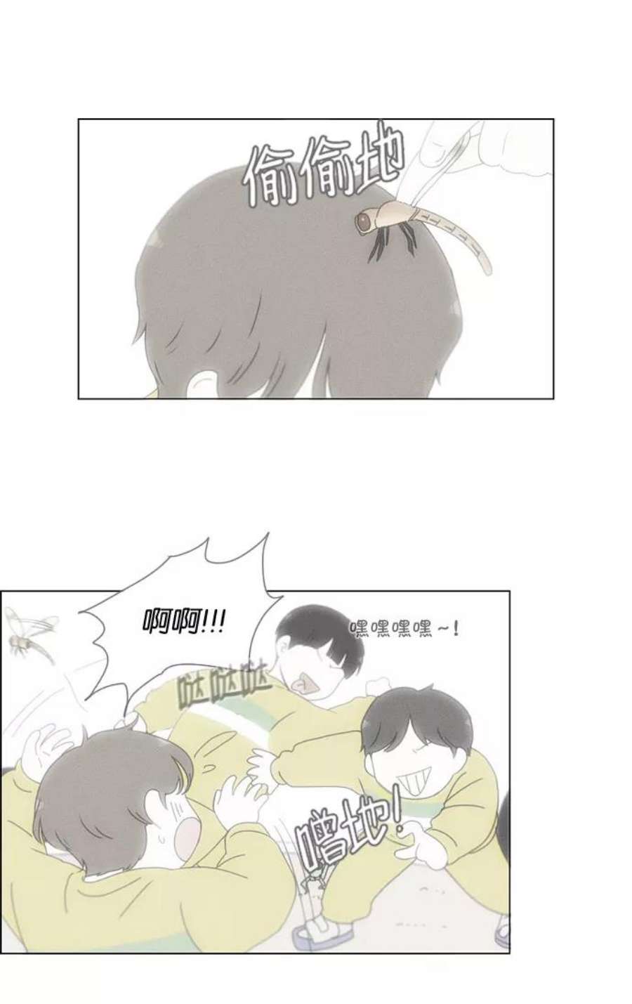 21.jpg