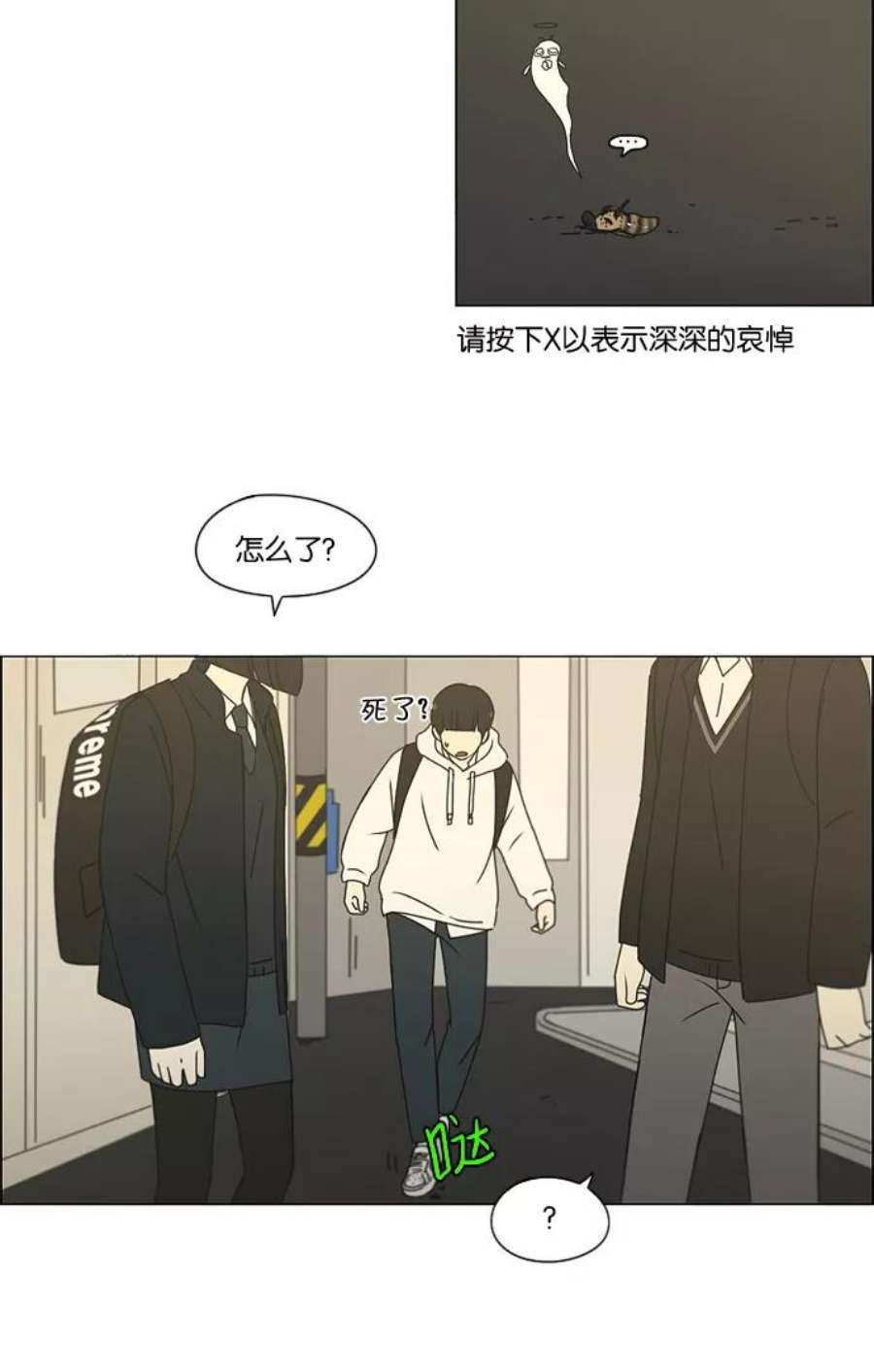 14.jpg