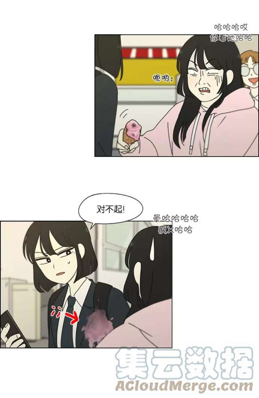 46.jpg