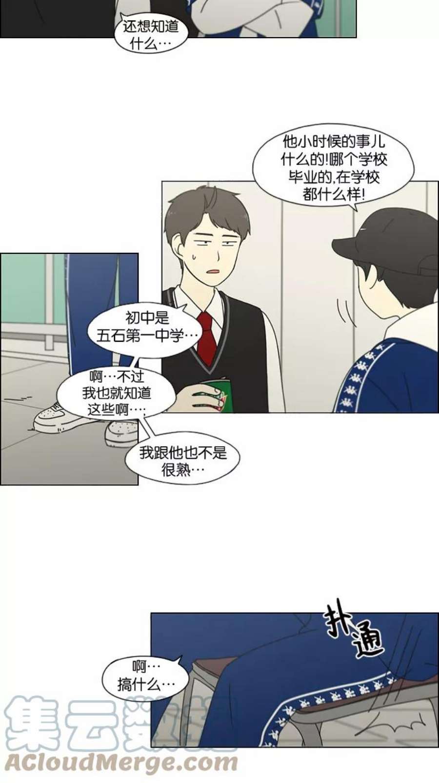 19.jpg